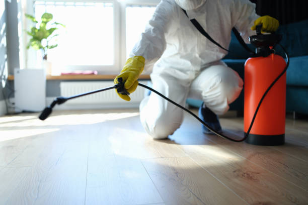 Reliable Hoarding Cleanup contractor in Pittsboro, NC by Dulley Family Biohazard Services
